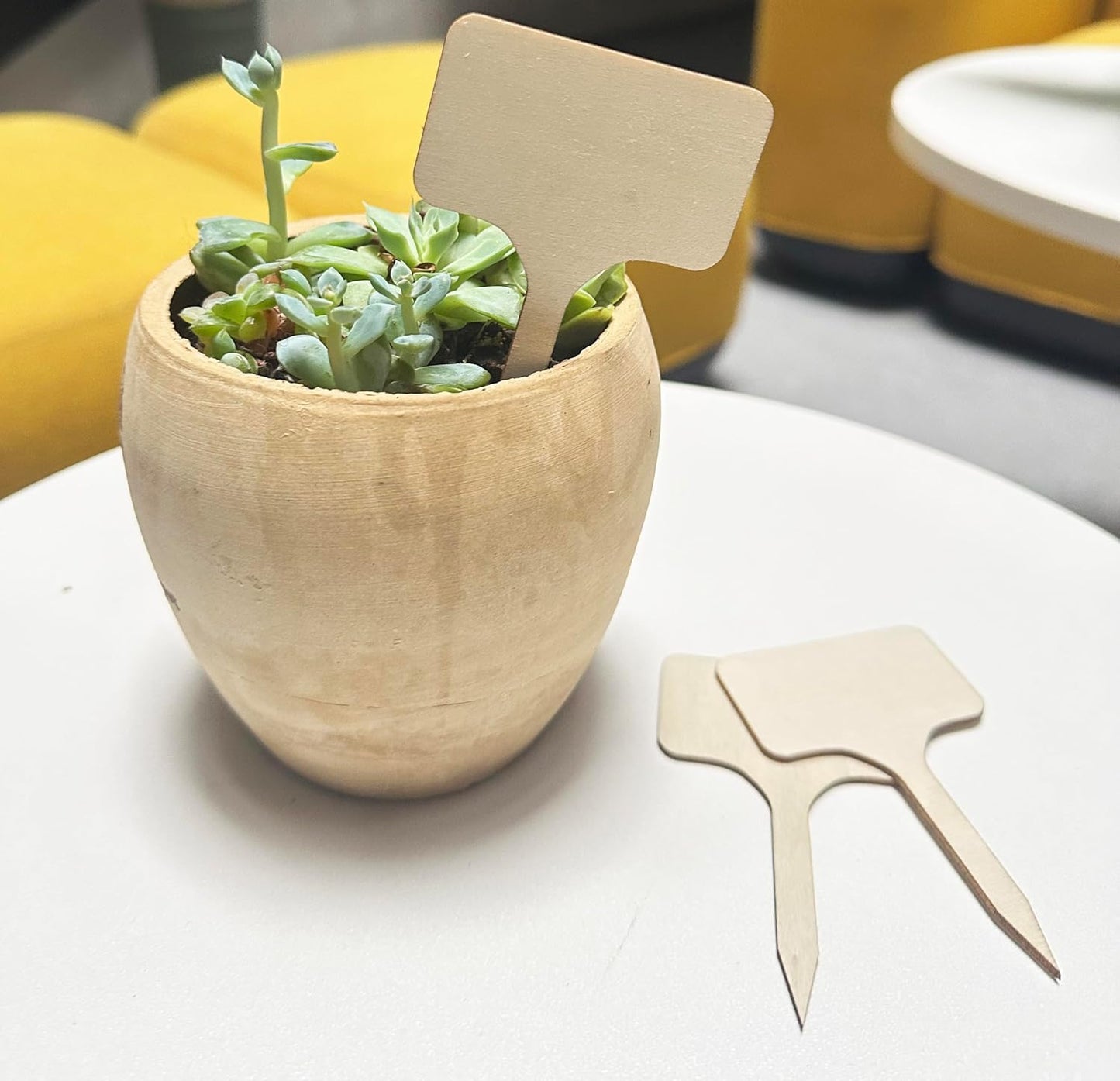 100 Pcs Wood Plant Labels, Natural Wooden Plant Marker Garden Sign Tags, T-Type Garden Markers for Succulents, Herbs, Seedlings, Potted, Flowers, Vegetables (T-Type)-VerdiqueGarden