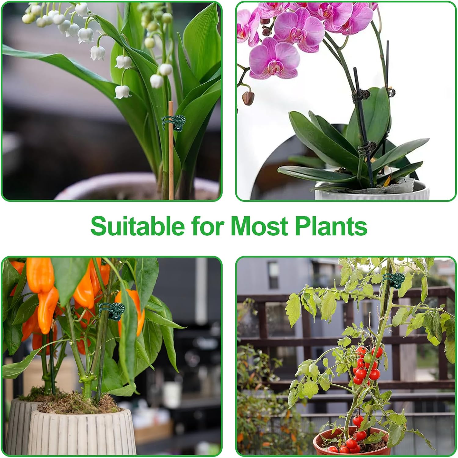50 Pcs Plant Clips Orchid Clips,Plant Orchid Support Clips,Flower and Vine Clips，Garden Clips，Plant Clips for Climbing Plants-VerdiqueGarden