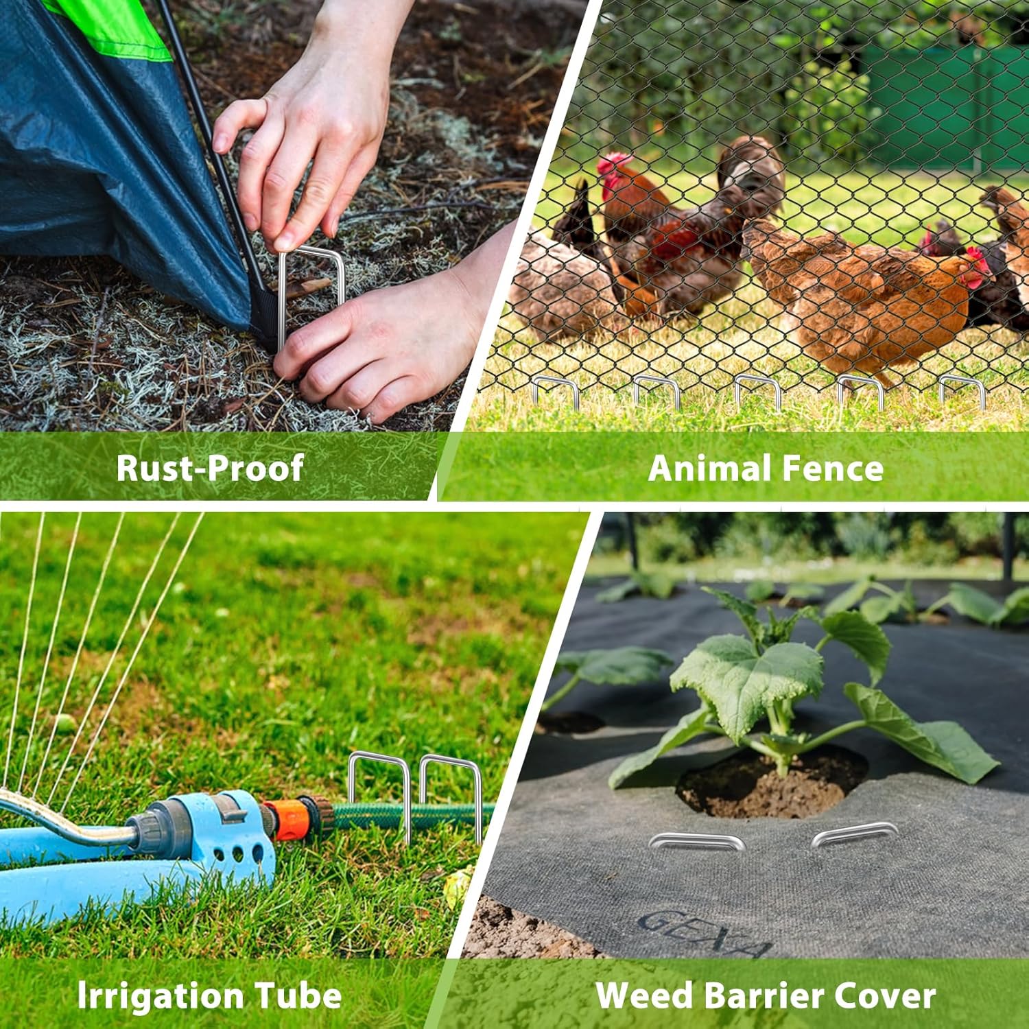 Landscape Staples 12 Inch, 100 Pack 8 Gauge Galvanized Garden Staples U-Shaped Landscape Stakes, Heavy Duty Ground Stakes for Outdoor Decorations, Weed Barrier Fabric, Irigation Tubing, Tent-VerdiqueGarden