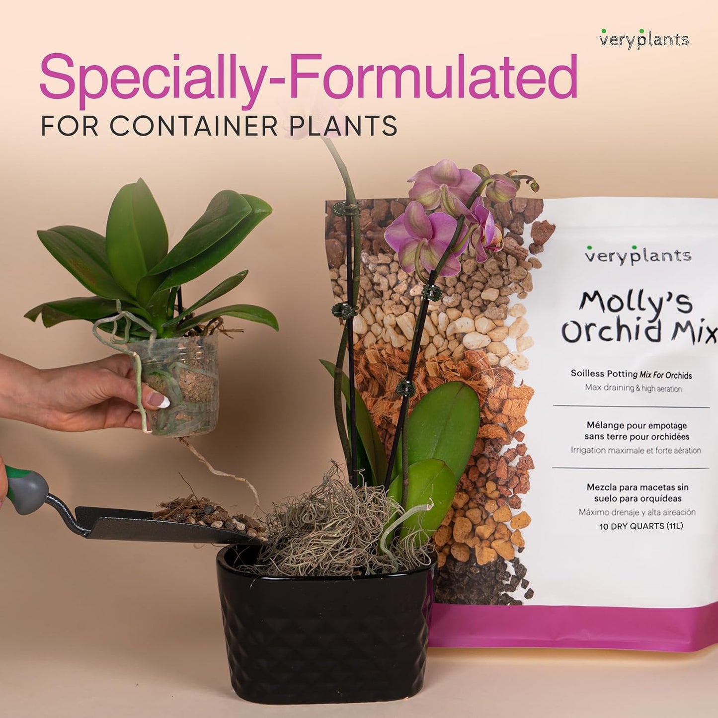 Molly's Orchid Potting Mix - Premium Gritty Soilless Orchid Mix - Chunky High Drainage vs Standard Potting Soil for Indoor Plants - Contains Bark, Coco Chips, Akadama, Pumice, Lava Rock 5 Dry Quarts-VerdiqueGarden