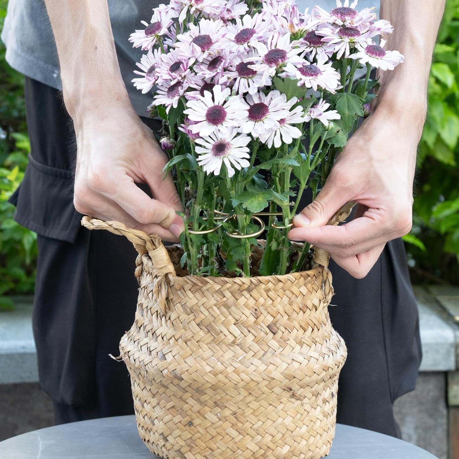 5PCS Monstera Plant Support System 4.1IN - Durable Hook Stem Supports for Healthy Growth, Stabilizer for Leaves and Turtle Shells, Easy-to-Use Indoor Plant Care, Ideal Present for Plant Lovers-VerdiqueGarden