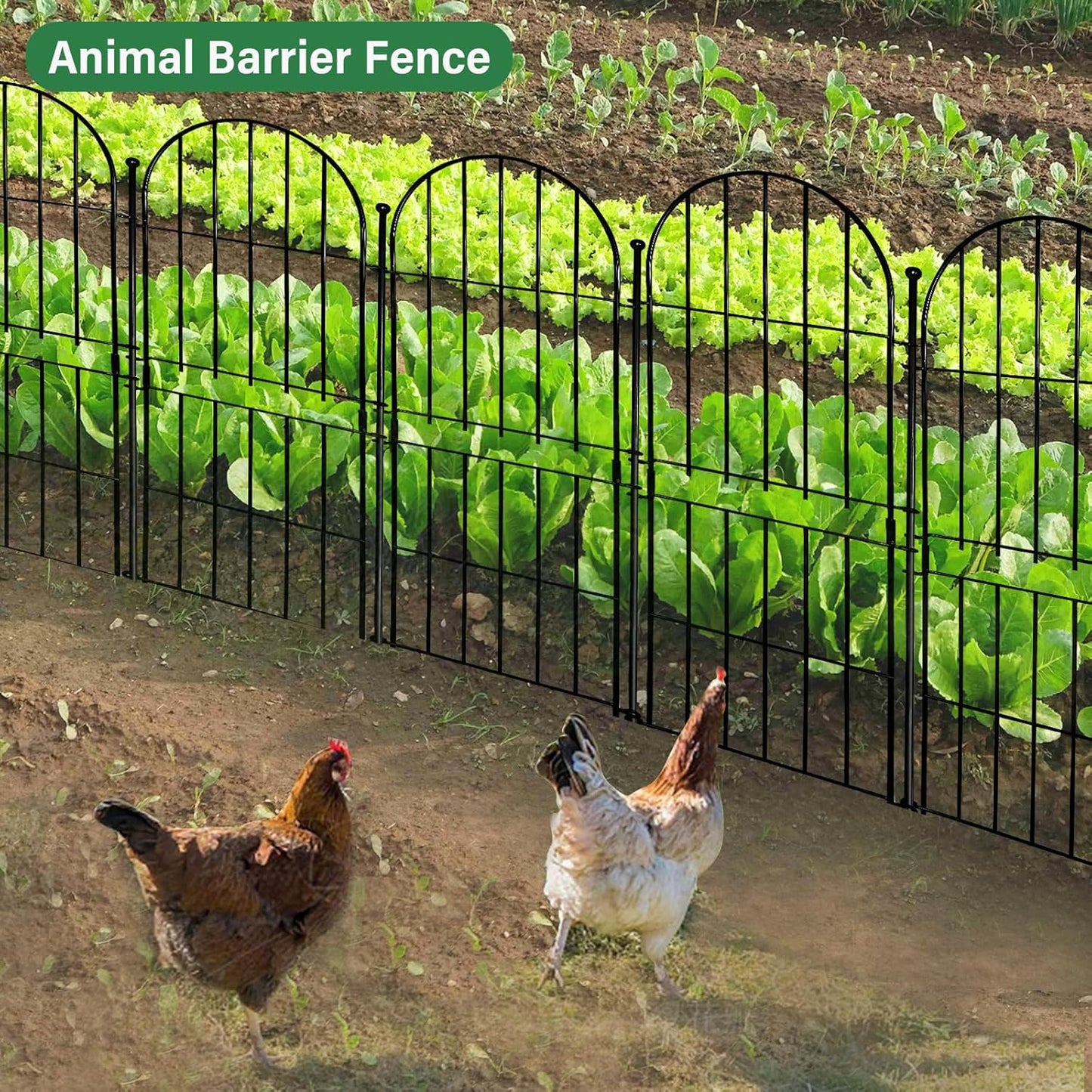 Decorative Garden Fence 31in (H) x10ft (L), 10 Pack No Dig Fence Animal Barrier for Dog, Arched Flower Bed Edging, Wire Border Panel Fencing for Yard Patio Outdoor Decor-VerdiqueGarden