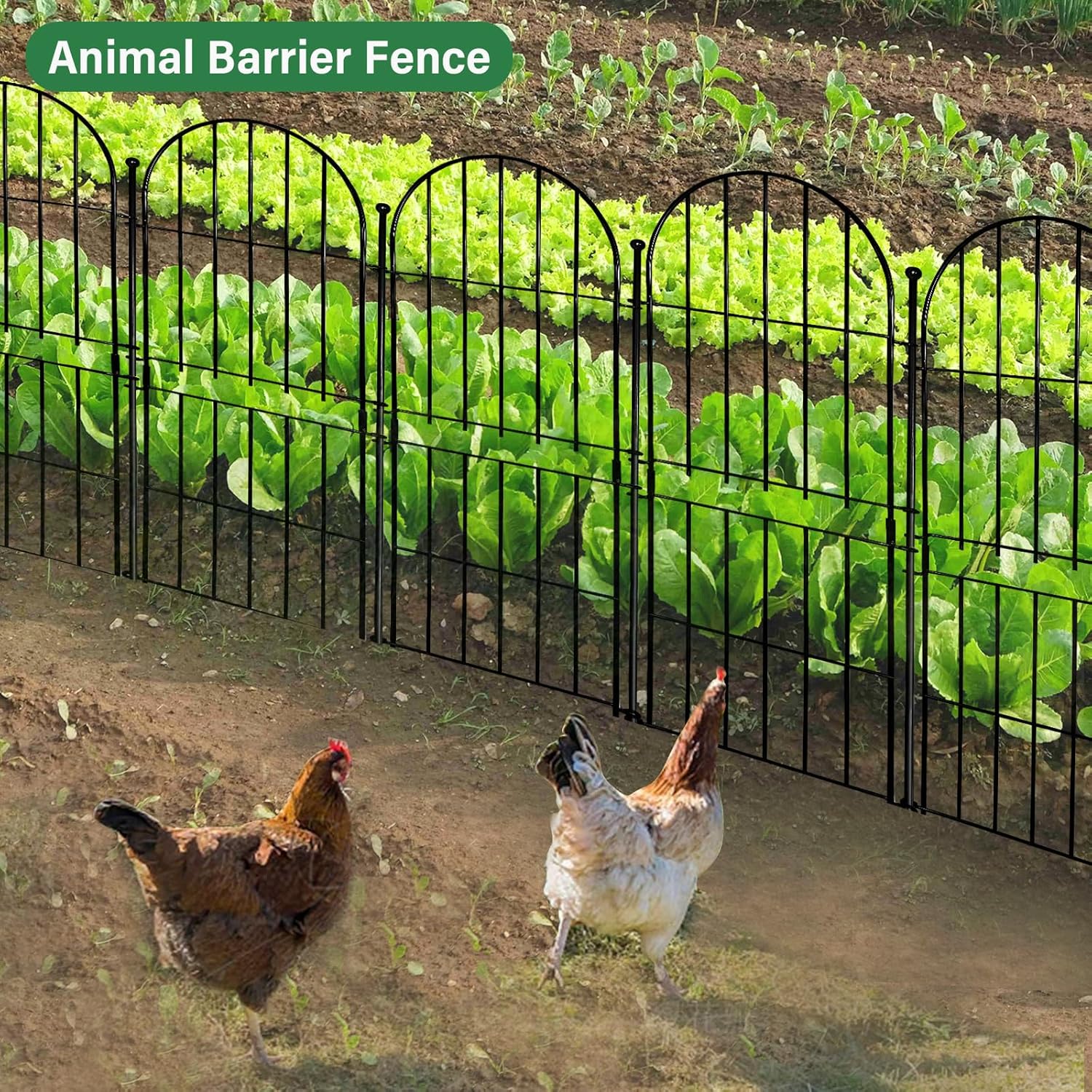 Decorative Garden Fence 31in (H) x10ft (L), 10 Pack No Dig Fence Animal Barrier for Dog, Arched Flower Bed Edging, Wire Border Panel Fencing for Yard Patio Outdoor Decor-VerdiqueGarden