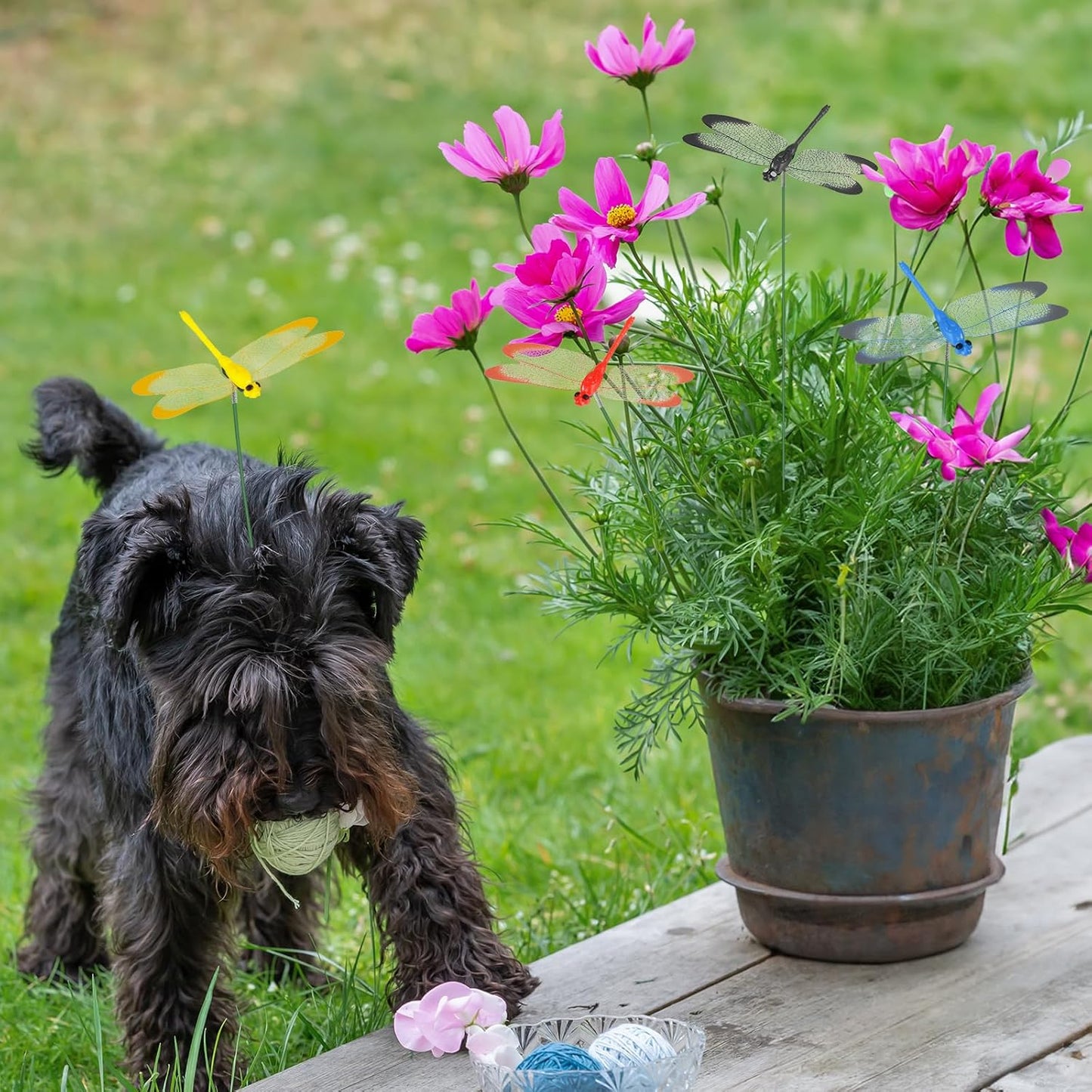 NiHome 15PCS Decorative Dragonflies with 10 Clips Decor for Garden, 9.8" Long Multicolor Waterproof Outdoor & Indoor Use, Versatile Clip-On Plant Decoration, Includes Pliers for Easy Attachment-VerdiqueGarden