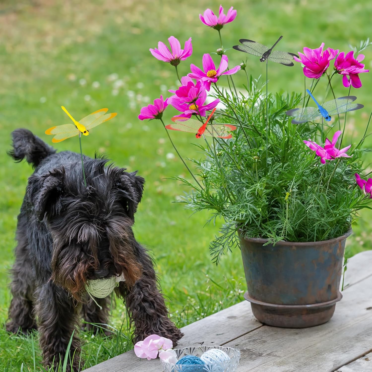 NiHome 15PCS Decorative Dragonflies with 10 Clips Decor for Garden, 9.8" Long Multicolor Waterproof Outdoor & Indoor Use, Versatile Clip-On Plant Decoration, Includes Pliers for Easy Attachment-VerdiqueGarden