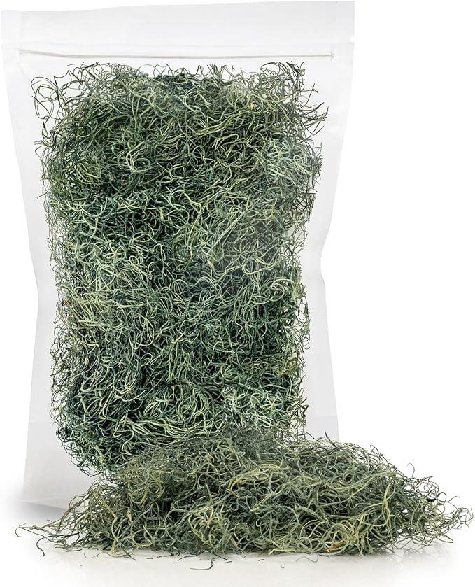 Premium Spanish Moss in Basil| Natural Preserved - Great Ground Cover - Filler for Potted Plants - by GARDENERA - 4 Quart Bag-VerdiqueGarden