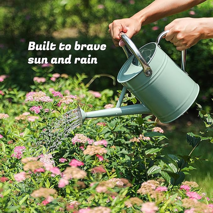 1 Gallon Watering Can for Plants, Watering Cans for Indoor&Outdoor Gardening, Galvanized Steel Watering Pot with Removable Spout, Metal Water Can with Ergonomic Movable Handle(Cream Green)-VerdiqueGarden