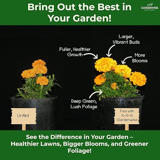 10-10-10 Plant Fertilizer Slow Release - 10 10 10 All Purpose Granular Garden Fertilizer for Vegetables, Tomato, Arborvitae, Shrubs, Rose, Flowers, Fruit, Fig Trees (1 Quart)-VerdiqueGarden