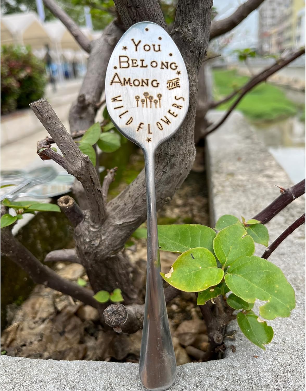 Garden Marker Plant Marker Friendship Plant Gift Garden Label-VerdiqueGarden