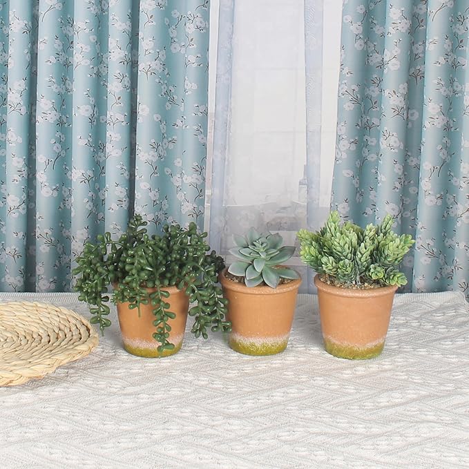 3 Pcs Artificial Succulent Plants Potted False Succulent Plants Potted Faux Potted Plant Family Office Bookshelf Decor-VerdiqueGarden