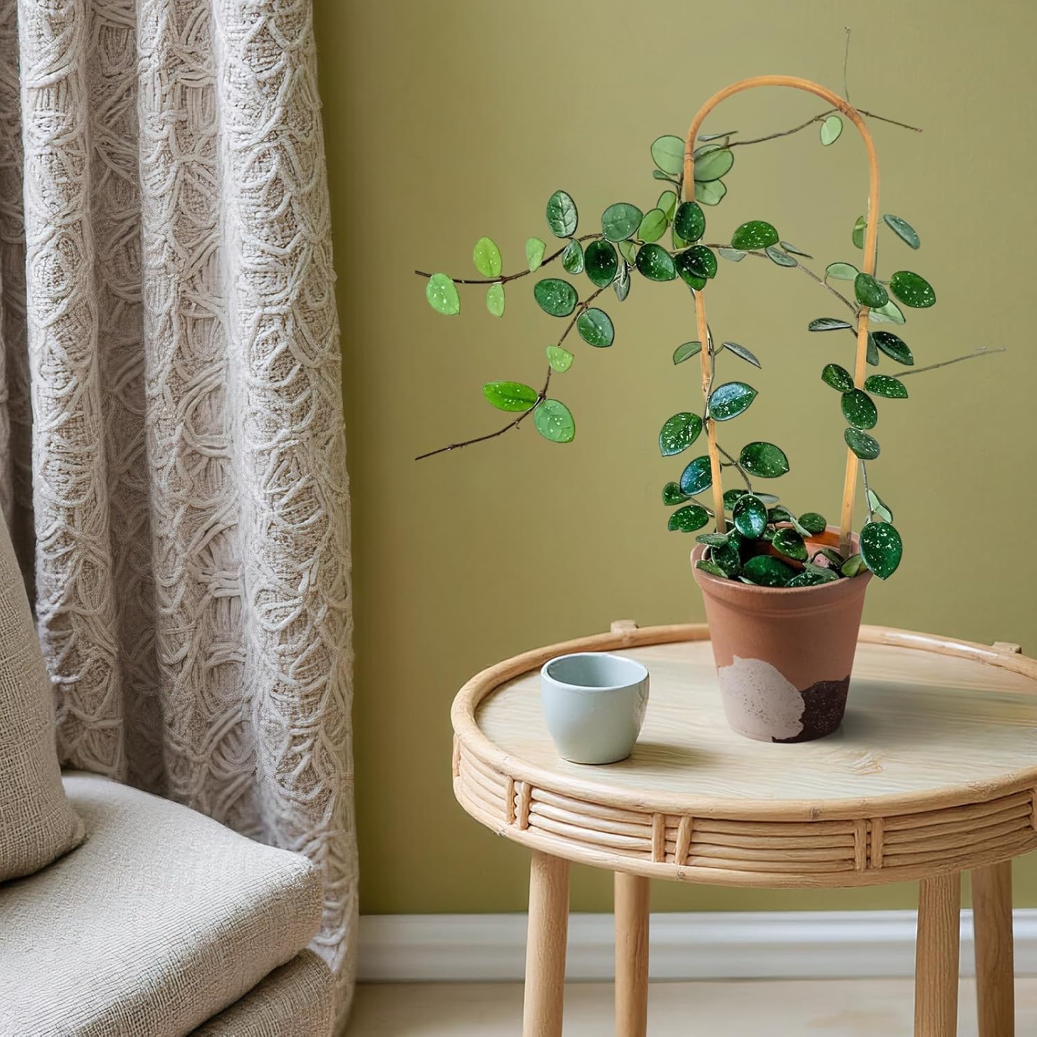 Indoor Plant Trellis for Climbing Plants 16in, 6 Pack Arch Bamboo Trellis for Potted Plants-VerdiqueGarden