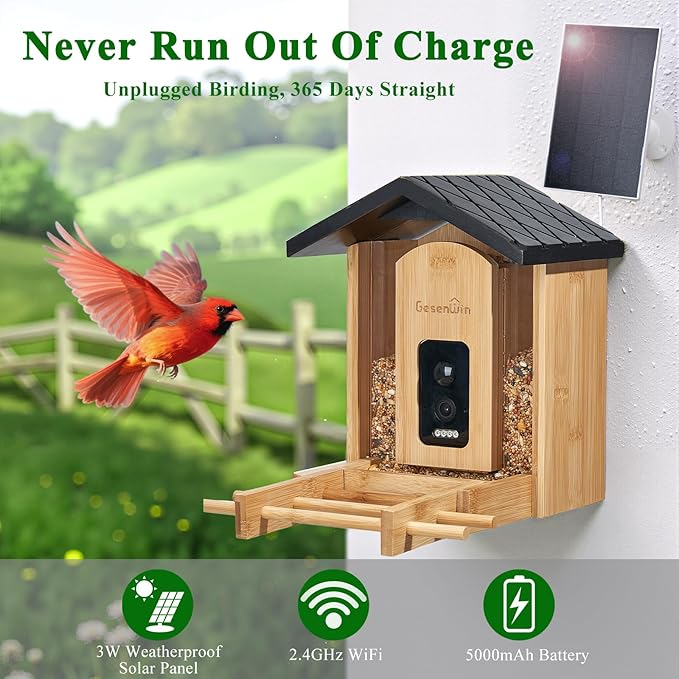 Smart Bird Feeder with Camera for Wild Birds - Identifies 11,000+ Species, Solar Panel Wireless Outdoors Bamboo Birdhouse with Cam, 2K HD Live Video & Instant Alerts - Bird Lover Gifts-VerdiqueGarden