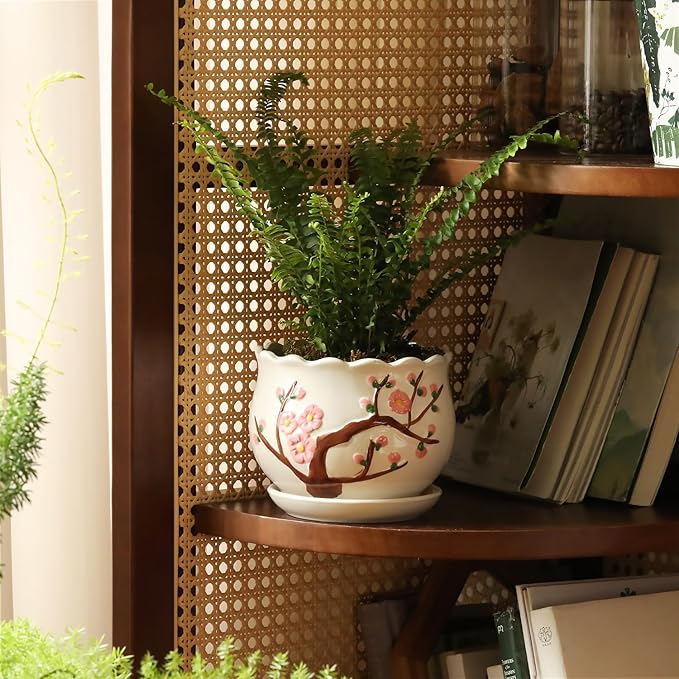 Ceramic Plant Pots with Drainage Holes and Saucers, Round Flower Pots for Indoor Plant, 3.9/5.2/6.7 Inches Small Flower Planters Set of 3-VerdiqueGarden