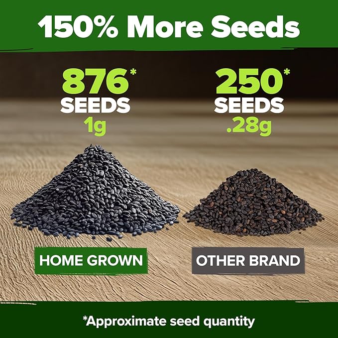 HOME GROWN Thai Basil Seeds Pack - 876 High Germination 𝗡𝗢𝗡-𝗚𝗠𝗢 𝗨𝗦𝗔 Heirloom Herb Seeds for Planting,Ideal for Growing Fresh Basil Planting Indoor or Outdoor(Ocimum basilicum var.thyrsiflora)-VerdiqueGarden