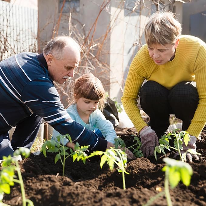 1,500+ Tomato Seeds, Heirloom Vegetable Seed for Planting Indoor Outdoor, 10 Varieties Salad Tomato Seeds Garden Hydroponic Kit, Non-GMO Home Hydroponic Fresh Food Veggie Supply-VerdiqueGarden