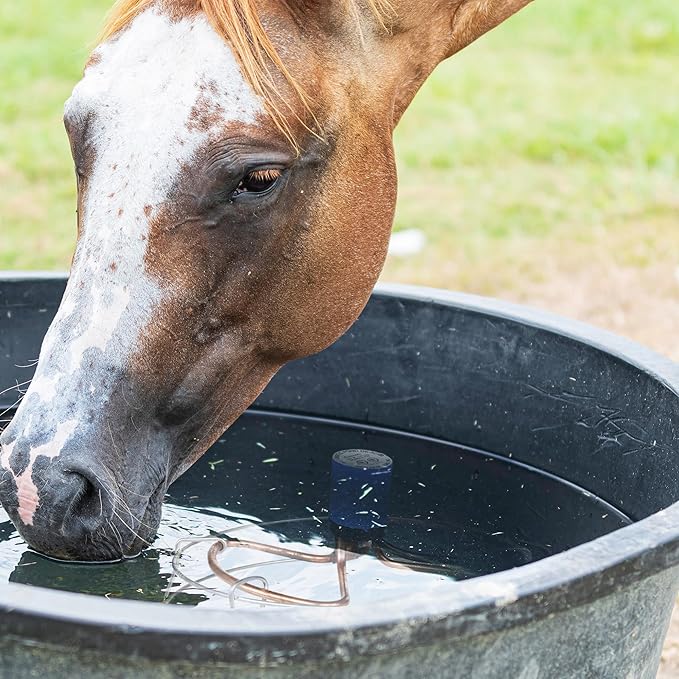 Farm Innovators 1500 Watt Cast Aluminum Submergible Water Tank Deicer, with Self Regulating Thermostat and Anti Chew Cord Protector, 2 Pack-VerdiqueGarden