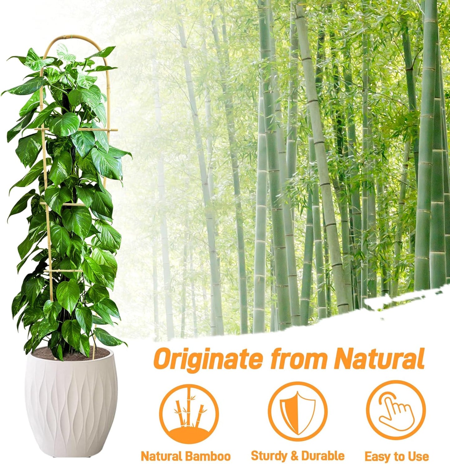 Avalution 10 Pack Bamboo U Trellis for Climbing Plants, 4 FT Garden Ladder Trellis for Potted Plants Indoor, Ladder Small Plant Support Trellis for Houseplants Ivy Hoya Vine Monstera-VerdiqueGarden