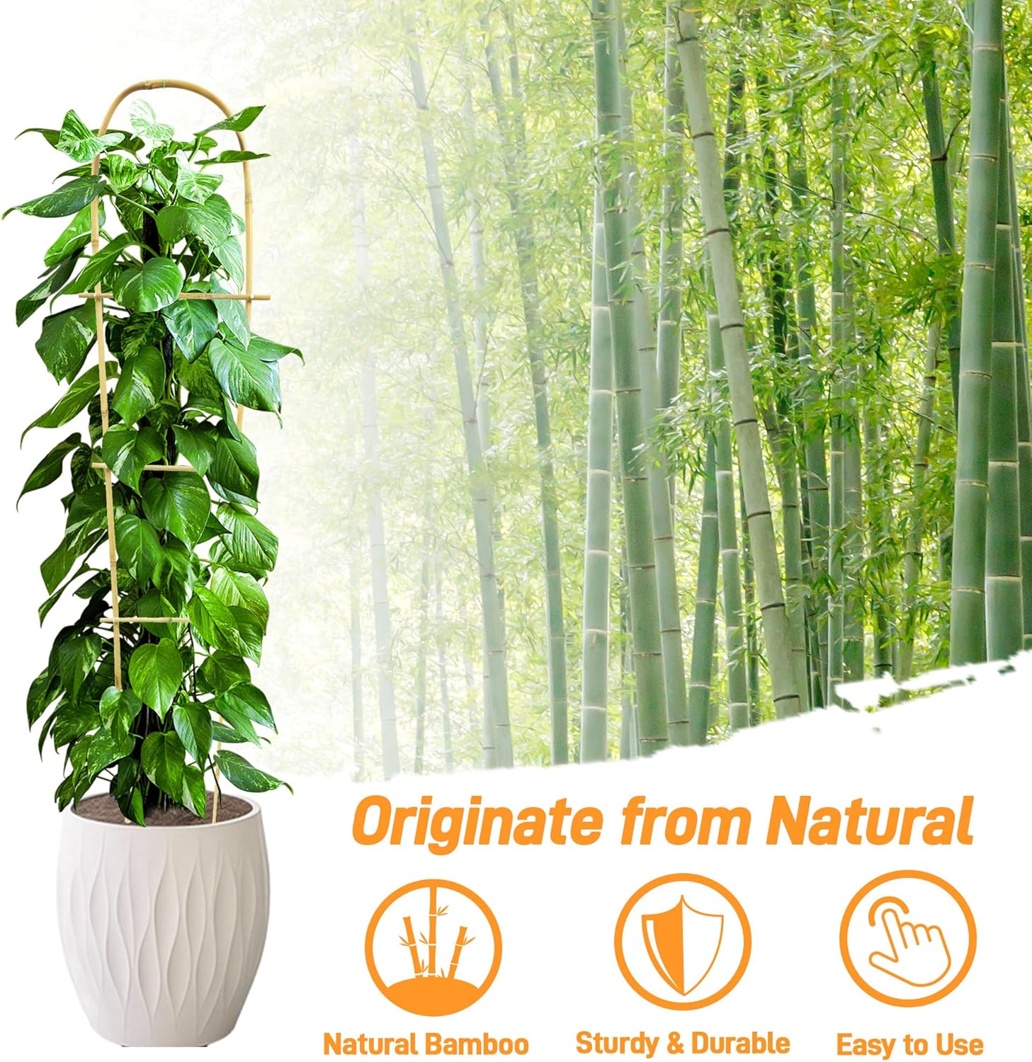 Avalution 10 Pack Bamboo U Trellis for Climbing Plants, 4 FT Garden Ladder Trellis for Potted Plants Indoor, Ladder Small Plant Support Trellis for Houseplants Ivy Hoya Vine Monstera-VerdiqueGarden