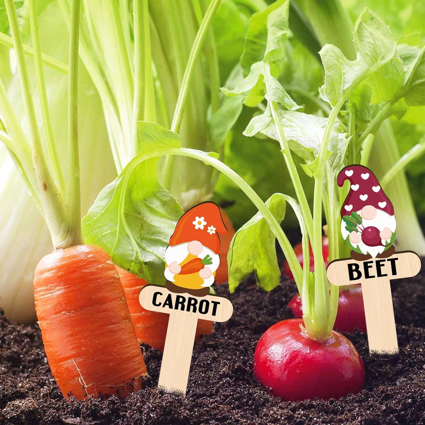 Huray Rayho Gnome Wooden Plant Markers for Vegetable Flowers Garden Potted Plants Tags 15-Pack Funny Wood Plant Labels Garden Stakes Patio Decorations Funny Gifts for Plant Lady Woman Novelty Gift-VerdiqueGarden