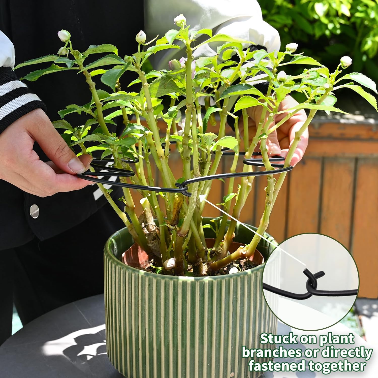 5PCS Black Monstera Plant Stem Support 9x7.6in - Adjustable & Durable Indoor Plant Stake for Cactus and Climbing Plants - Ideal Leaf Support for Gardening & Home Decor-VerdiqueGarden