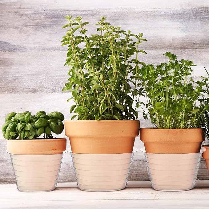 Hoolerry Plastic Plant Saucer Clear Deep Drip Tray Thickened Clear Plant Saucers Trays for Pots Deep Drip Trays for Home Garden Indoor and Outdoor Potted(15 Pcs, 6, 8, 10 Inch)-VerdiqueGarden