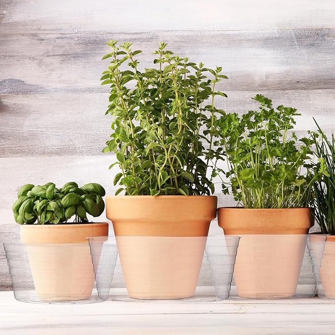 Hoolerry Plastic Plant Saucer Clear Deep Drip Tray Thickened Clear Plant Saucers Trays for Pots Deep Drip Trays for Home Garden Indoor and Outdoor Potted(15 Pcs,8, 10, 12 Inch)-VerdiqueGarden