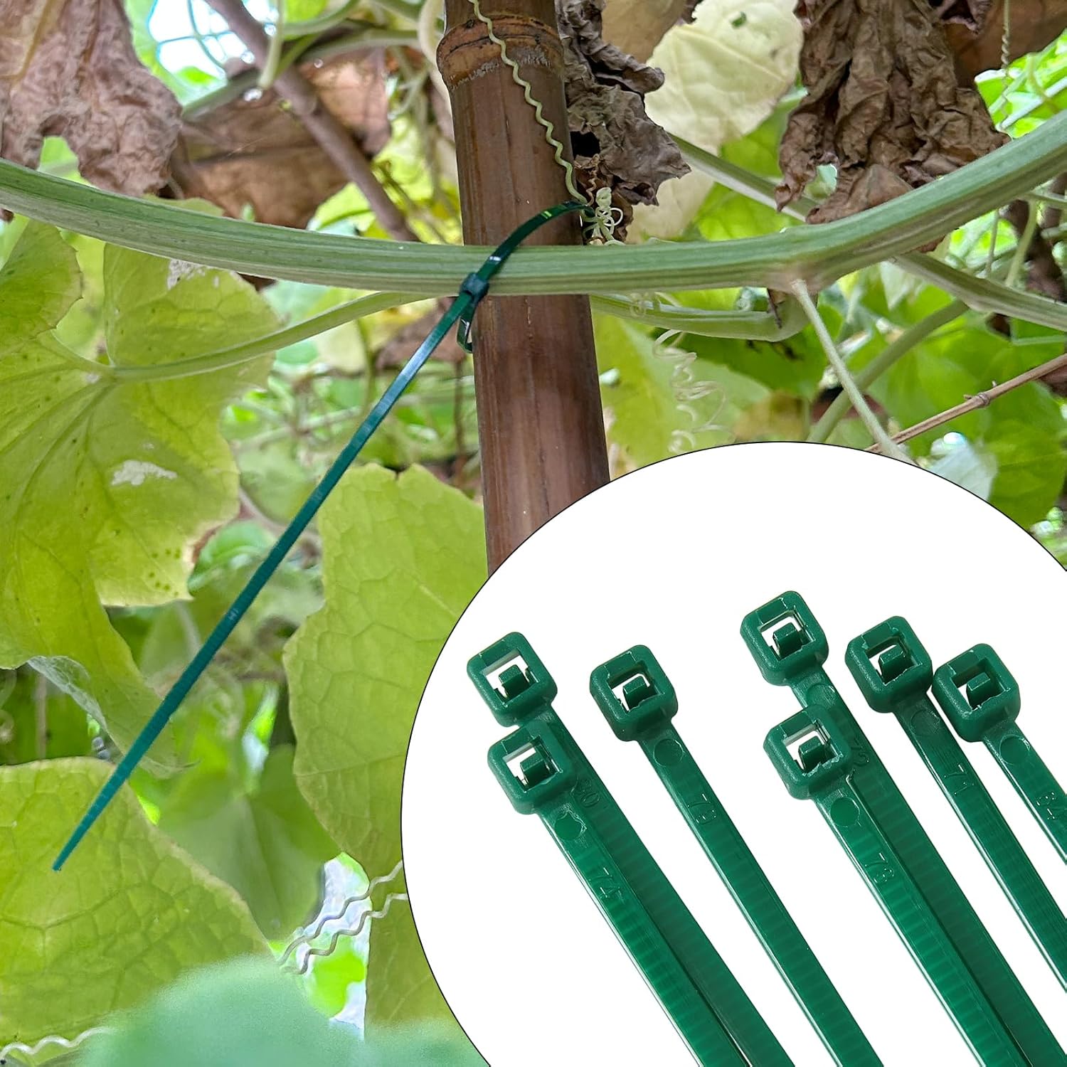 10 inch 3mm Dark Green Nylon Garden Cable Zip Ties Self Locking Cable Ties Twist Ties, Multi-Purpose Cable Tie(100 Pcs)-VerdiqueGarden