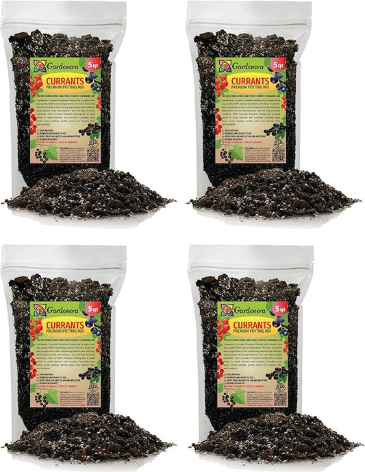 Premium Currant Plant Potting Soil Mix - Optimal Nutrient-Rich Blend for Thriving and Juicy Currants - 20 Quart-VerdiqueGarden