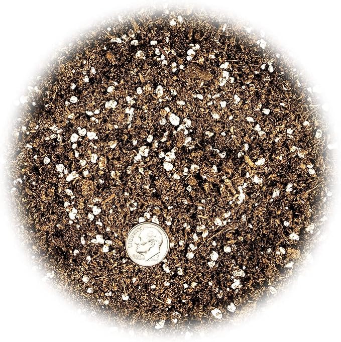 Premium Jade Plant Potting Soil Mix - (1 Quart Bag)-VerdiqueGarden