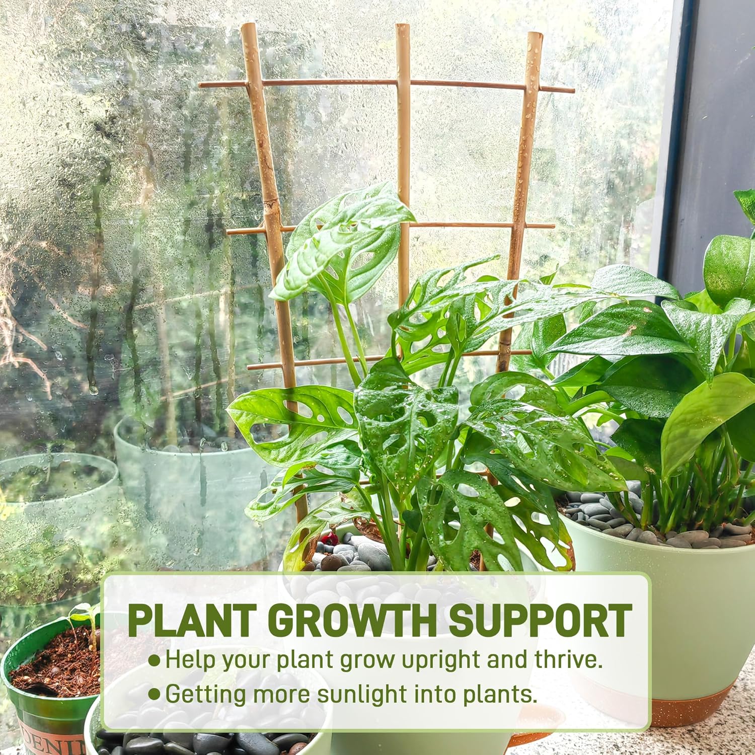 Avalution 10 Pack Bamboo Trellis for Climbing Plants 16" Natural Garden Ladder Trellis, Fan -Shaped Plant Support Trellis for Potted Plant Decor-VerdiqueGarden