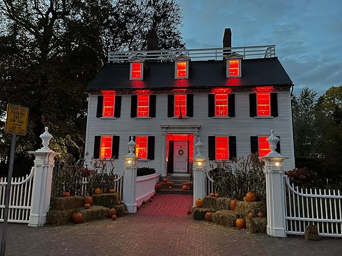 Hompavo 【Upgraded LED Flame Light Bulbs, 4-Mode Flickering Light Bulbs with Upside Down Effect, E26/E27 Flame Bulb for Halloween Christmas Party Indoor and Outdoor Home Decoration - 2 Red-VerdiqueGarden