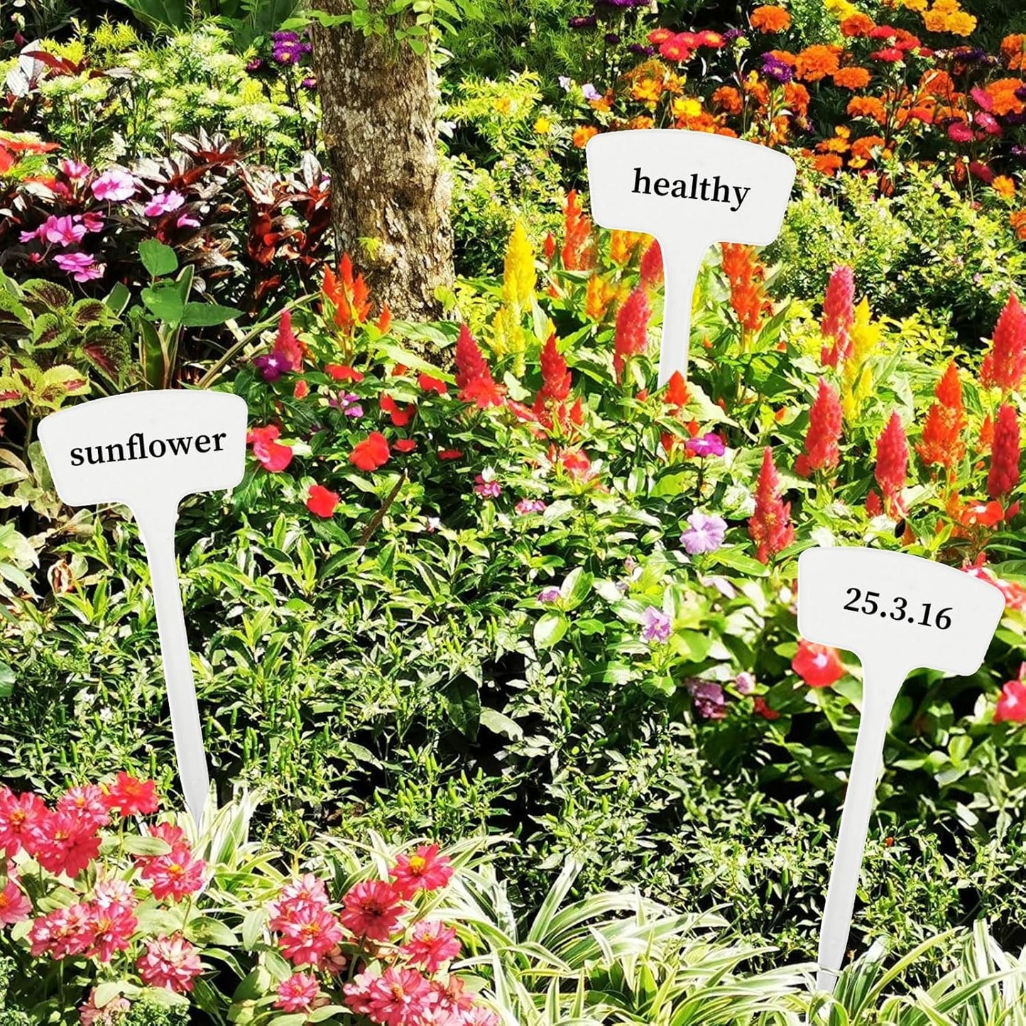 100 Pcs Plant Labels,T-Type 10.63inch Large Plastic Plant Tags Waterproof Plant Makers Nursery Garden Labels for Outdoor Indoor Plants Herbs Flowers Vegetable Potted Belt Marker Pen (White)-VerdiqueGarden