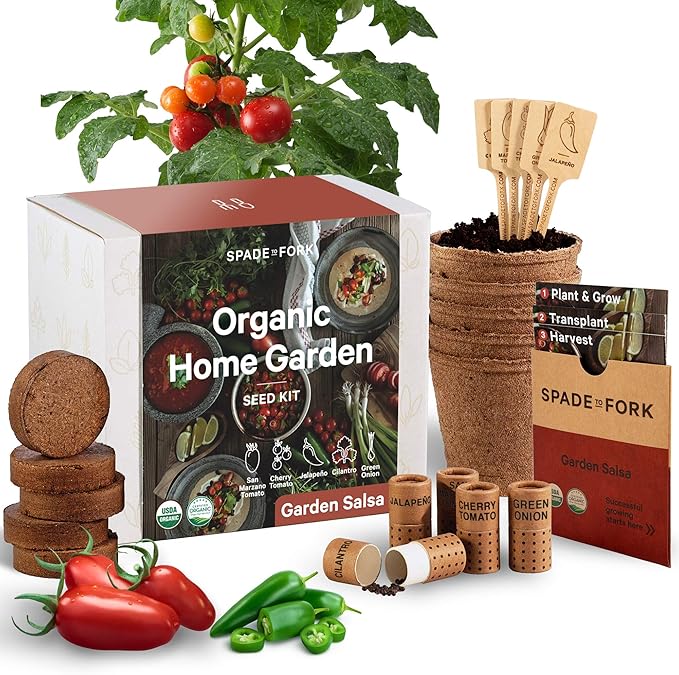 Organic Indoor Salsa Garden Starter Kit - Made in USA - Certified USDA Organic - 5 Seed Types San Marzano & Cherry Tomato, Jalapeño, Cilantro, Green Onion - Potting Soil, Indoor Herb Garden Kit-VerdiqueGarden
