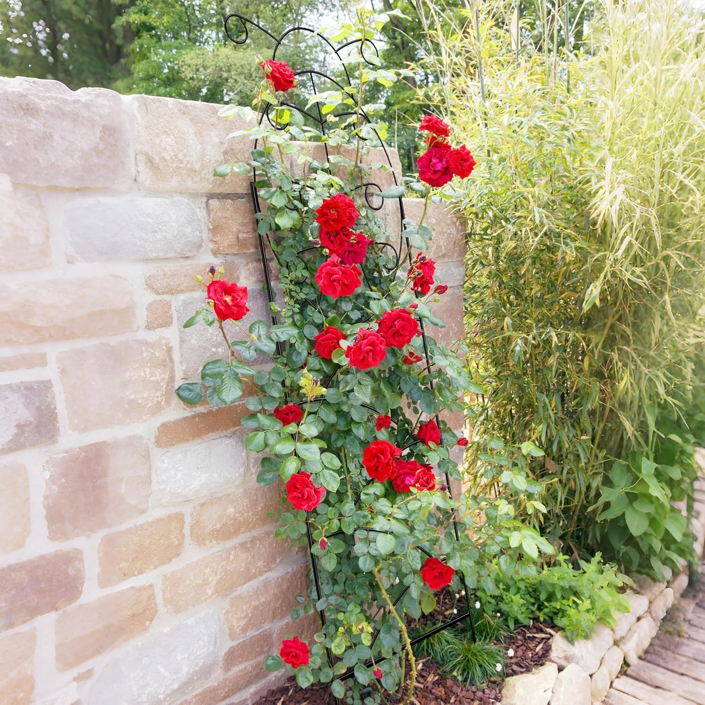 ARIFARO Garden Trellis 56″ H x16″ W (Pack of 4) Metal Climbing Plant Trellis Outdoor/Indoor Sturdy Flower Trellis for Climbing Vines, Rose, Potted Plants-VerdiqueGarden