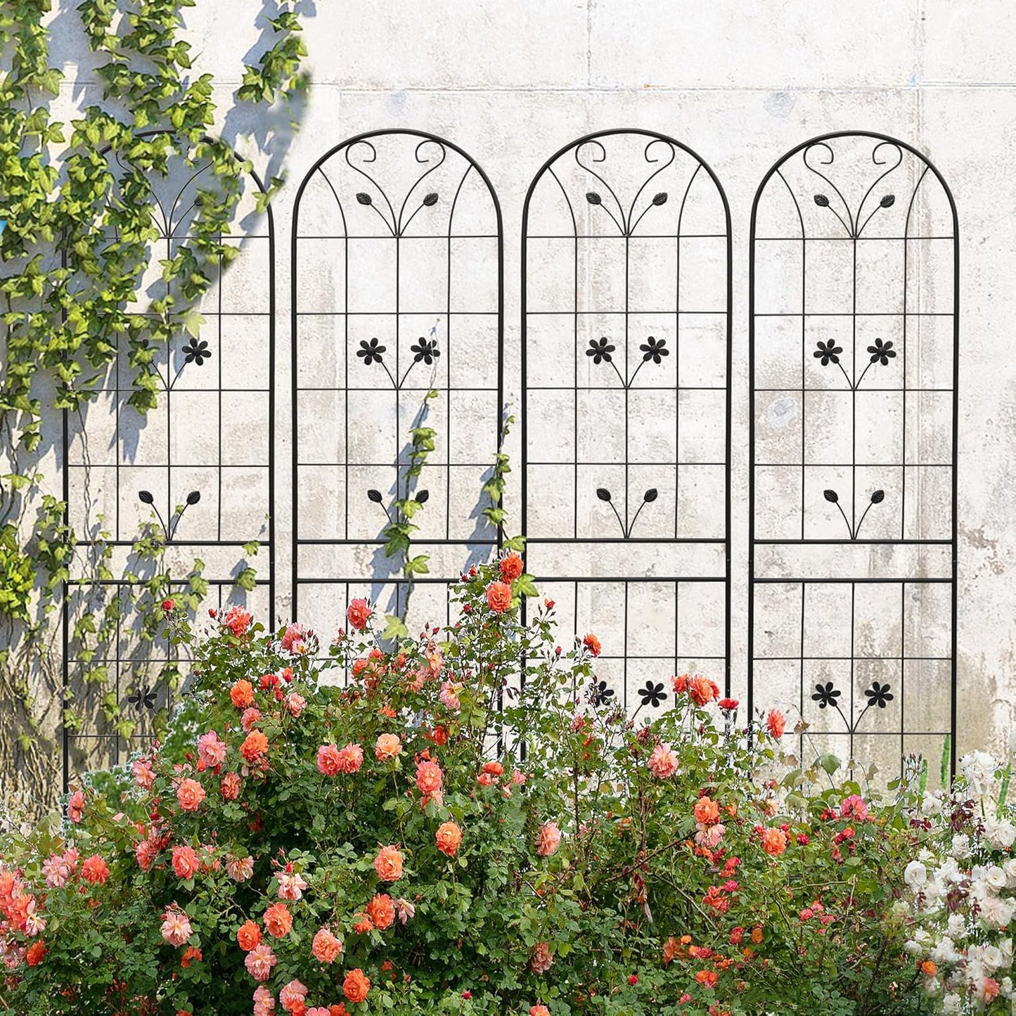 4 Pack Metal Garden Trellis 86.7" Tall Outdoor Climbing Plant Support for Roses, Flowers, Rustproof Durable Black Galvanized Tube, Lawn Garden Fence Decor Screen (4, Daisy-86.7" H)-VerdiqueGarden
