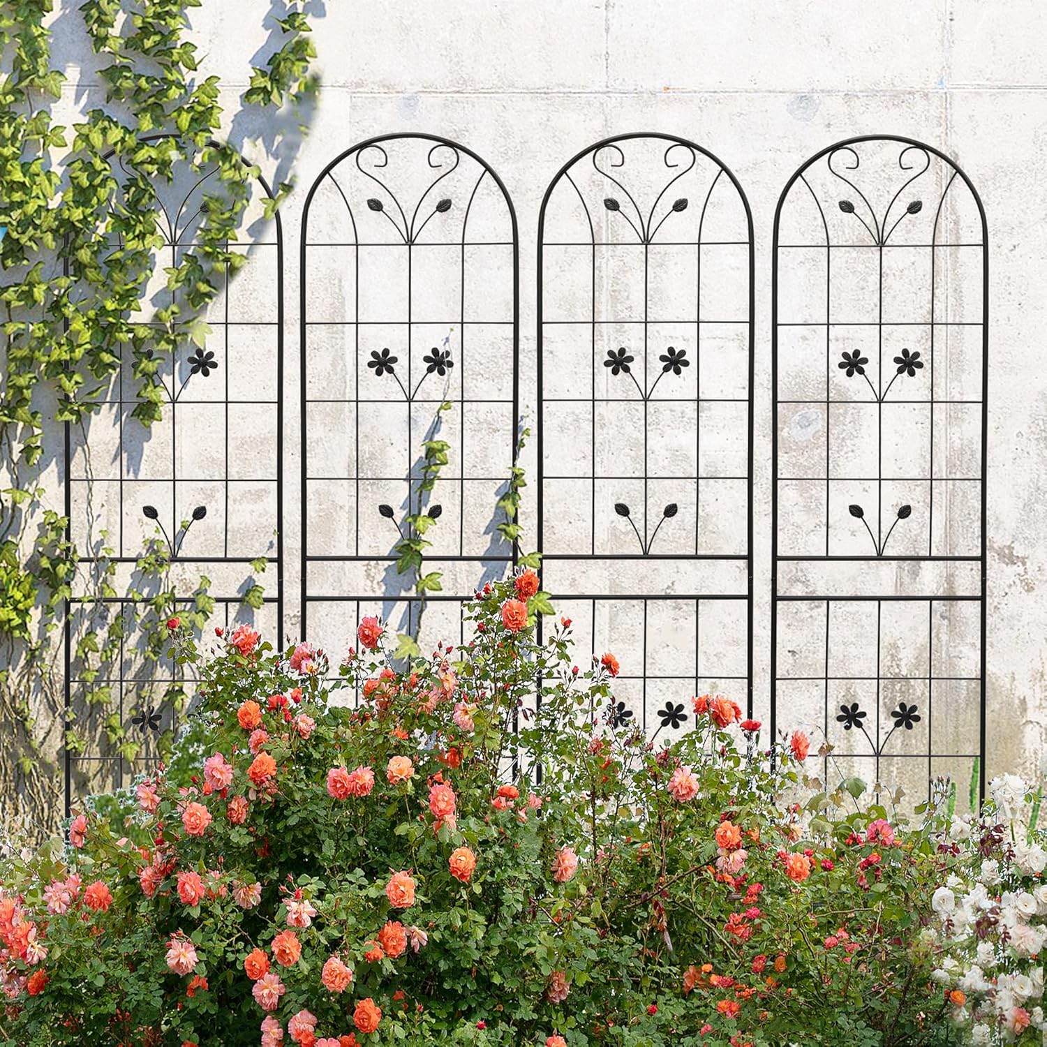 4 Pack Metal Garden Trellis 86.7" Tall Outdoor Climbing Plant Support for Roses, Flowers, Rustproof Durable Black Galvanized Tube, Lawn Garden Fence Decor Screen (4, Daisy-86.7" H)-VerdiqueGarden