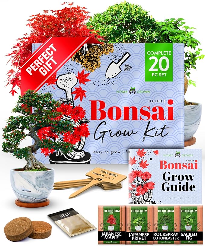 HOME GROWN Bonsai Tree Kit - Premium Ceramic Starter Kit - 4 Variety of Bonsai - Unique Gift for Men and Women Gardeners-VerdiqueGarden