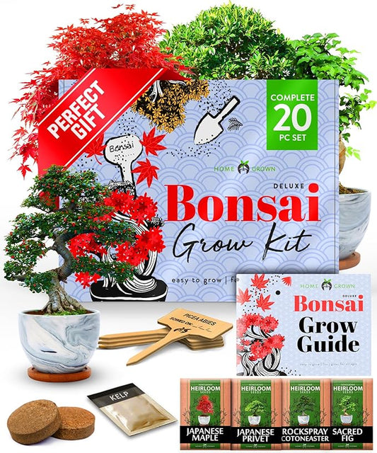 HOME GROWN Bonsai Tree Kit - Premium Ceramic Starter Kit - 4 Variety of Bonsai - Unique Gift for Men and Women Gardeners-VerdiqueGarden