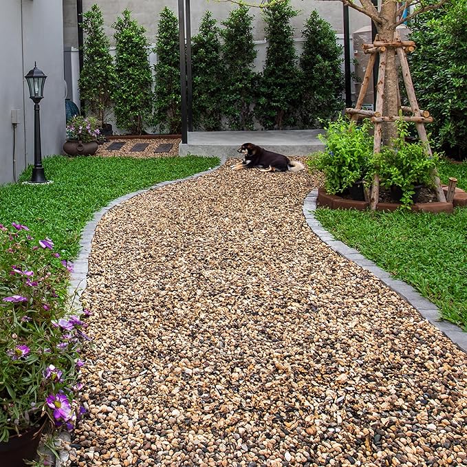 Aquarium Gravel 20 lbs, 2-4mm Fish Tank Gravel, Succulent Cactus Pea Gravel for Indoor Plants, River Rocks for Gardening, Flower Pots, Vase Fillers, Garden Landscaping