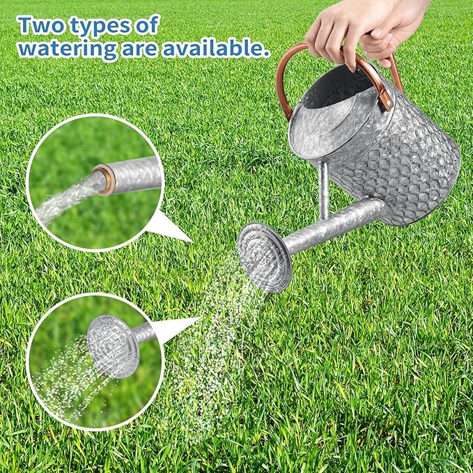 1 Gallon Metal Watering Can for Outdoor Indoor Plants, Galvanized Watering Can with Removable Spray Spout, Ideal for Garden Watering-VerdiqueGarden