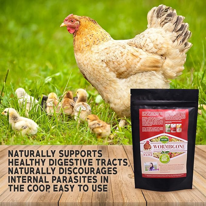 Non-GMO Backyard Chicken Nesting Herbs (1.25 pounds) - Naturally Keep A Clean Coop Your Hens Will Love-VerdiqueGarden