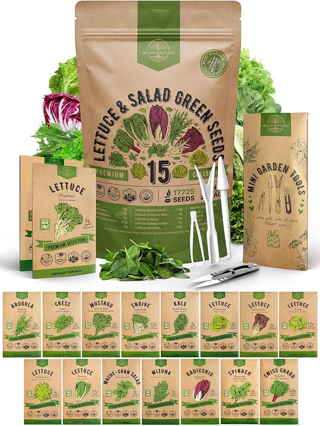 Organo Republic 15 Lettuce & Salad Greens Seeds Variety Pack 17700+ Non-GMO Heirloom Lettuce Seeds for Indoors & Outdoors Garden, Hydroponics, Aerogarden - Arugula, Kale, Spinach, Swiss Chard, Lettuce-VerdiqueGarden