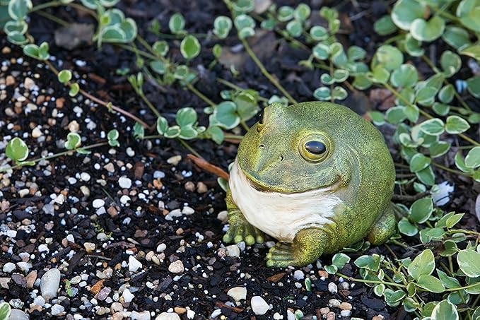 Evergreen Cute Portly Frog Outdoor Statue and Secret Key Holder | Weatherproof and Outdoor Safe | Garden Sculpture | Porch Garage or Patio Home Decor | 6 Inches Tall-VerdiqueGarden
