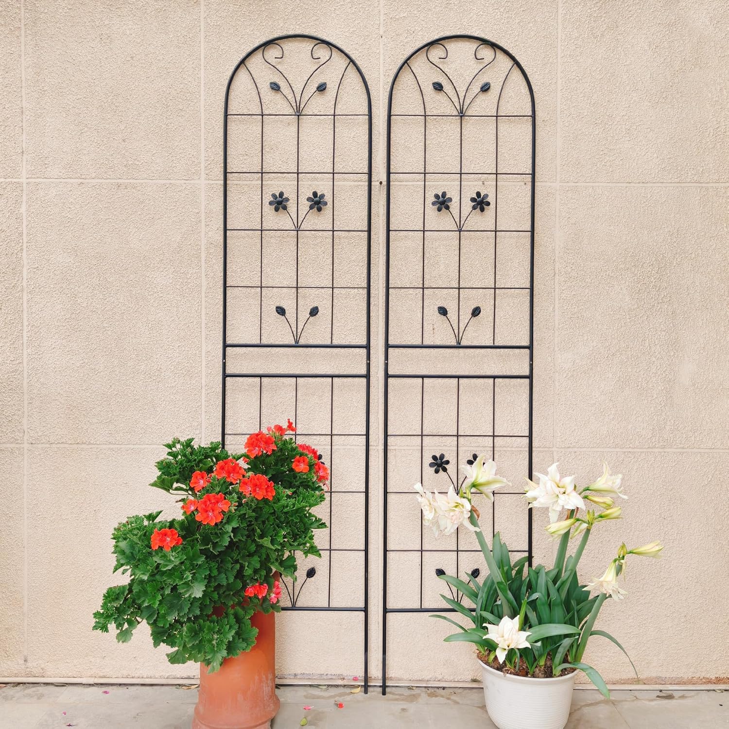 4 Pack Metal Garden Trellis 86.7" Tall Outdoor Climbing Plant Support for Roses, Flowers, Rustproof Durable Black Galvanized Tube, Lawn Garden Fence Decor Screen (4, Daisy-86.7" H)-VerdiqueGarden