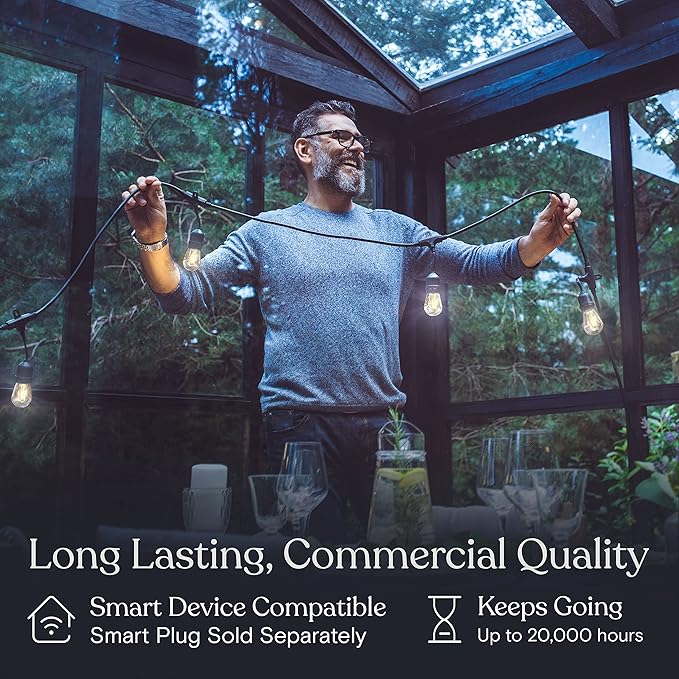 Brightech Ambience Pro LED String Lights - 24 Ft Commercial Grade Patio Lighting Outdoor Waterproof - 7 Heavy Duty Porch Lights for Outside, Christmas, Backyard - 1W Vintage Edison Bulbs, Dimmable-VerdiqueGarden