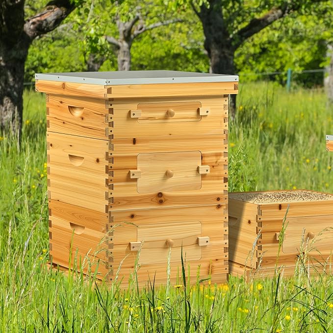CREWORKS 10 Frame Bee Hive, 3 Layers Beeswax Coated Beehive Starter Kit with Frames & Foundations, Langstroth Bees Hives Box with Transparent Acrylic (Window Medium Box & 2 Deep Boxes)-VerdiqueGarden