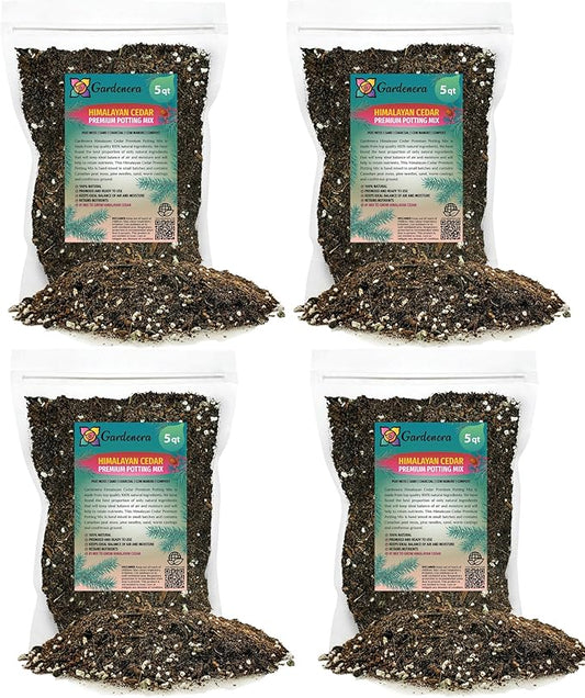Premium Himalayan Cedar Potting Soil Mix - Perfect Balance of Nutrients, Drainage, and Aeration for Healthy Cedar Trees - 20 Quart-VerdiqueGarden