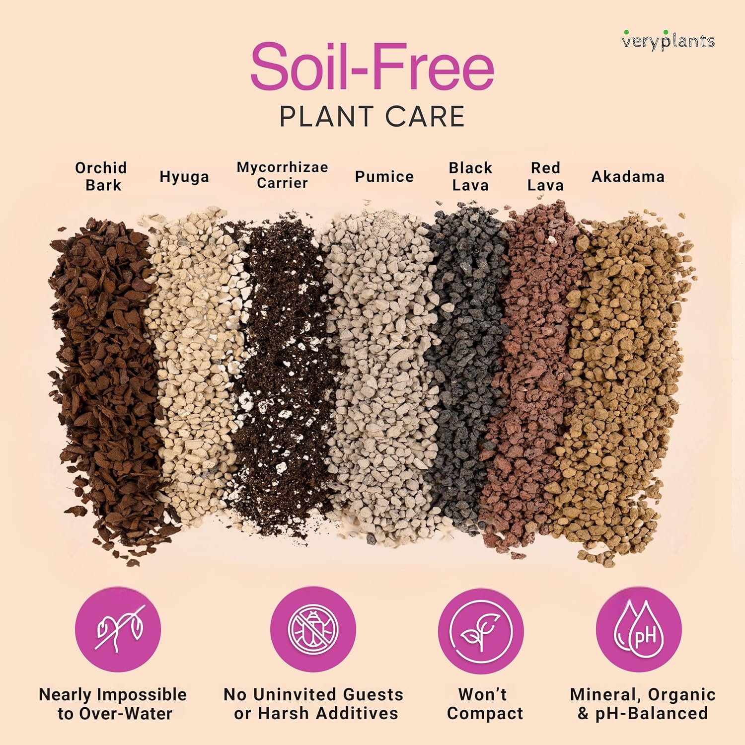 Molly's Succulent Mix - Premium Gritty Soilless Potting Mix for Succulents, Cactus and Bonsai - Contains Akadama, Hyuga, Bark Fines, Pumice, Lava Rock, Mycorrhizae 5 Dry Quarts-VerdiqueGarden