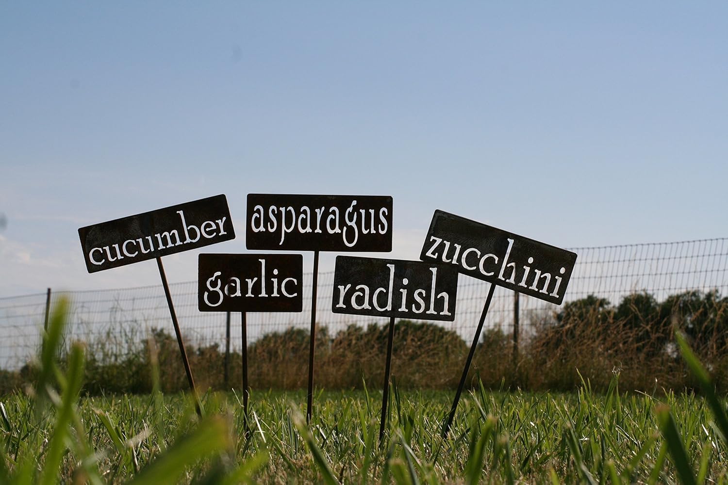 Classic Metal Garden Markers 19 Inches Tall (Custom Text, Naturally Rusted)-VerdiqueGarden