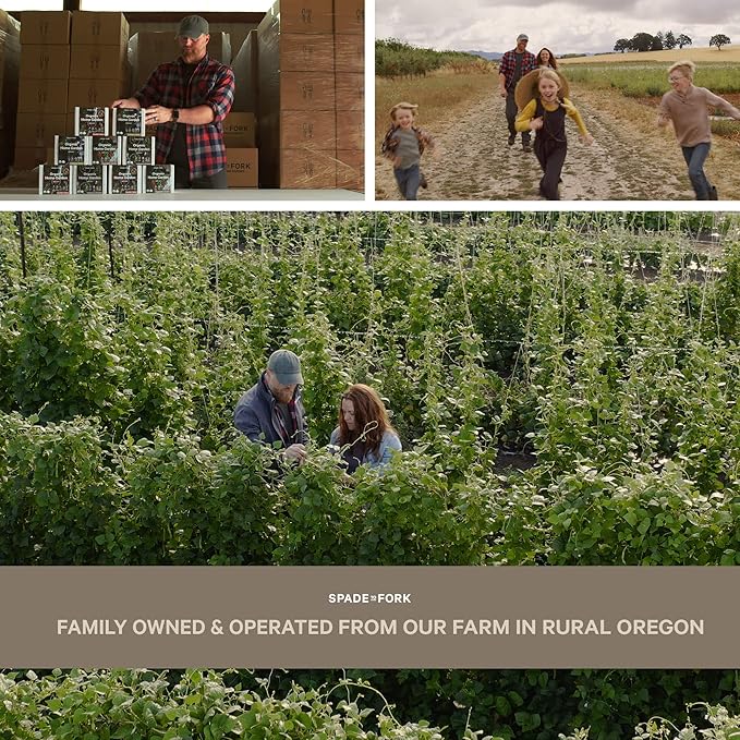 Organic Indoor Vegetable Garden Starter Kit - Made in USA - Certified USDA Organic - 5 Seed Types Cherry Tomato, Lettuce, Carrot, Radish, Green Bean | Indoor Plant Seeds, Indoor Garden Kit, Plant Kit-VerdiqueGarden